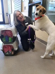 Love Your Pet Day – February 20th