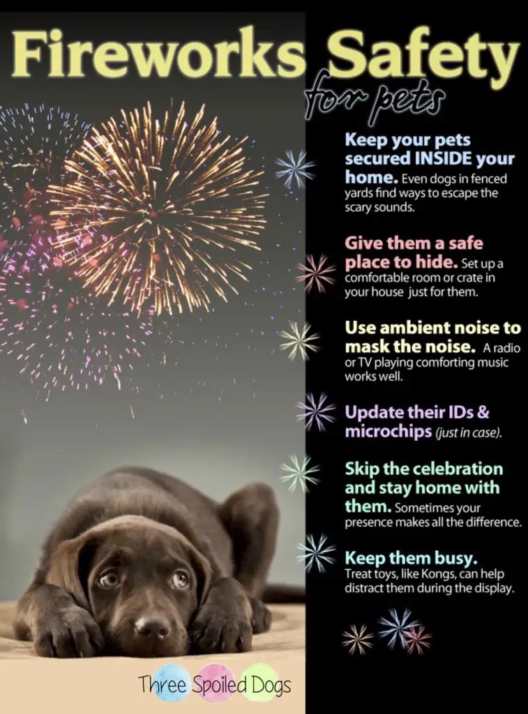Just a friendly reminder that fireworks can be scary to our furry companions!