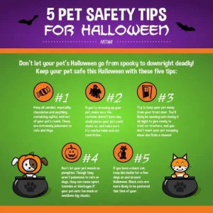 5 Pet Safety Tips for Halloween
