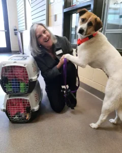 National Adopt a Shelter Pet Day is on April 30th