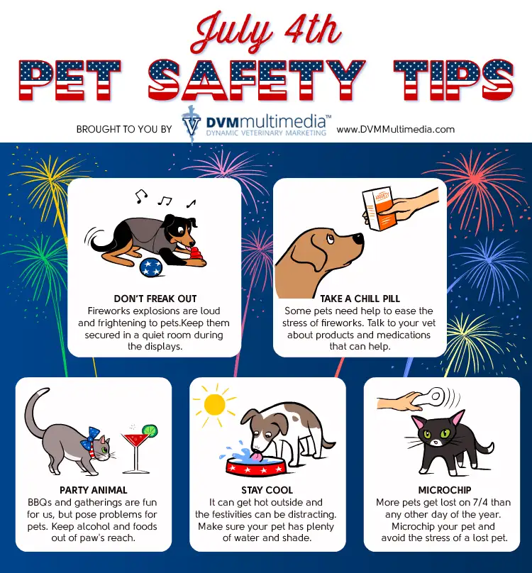Keep Your Pets Safe on July 4th