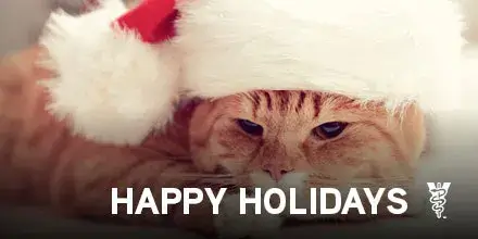 7 Ways to Make the Holidays Safer for Pets