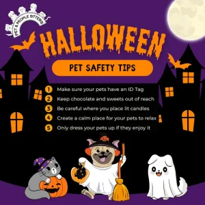 Halloween pet safety