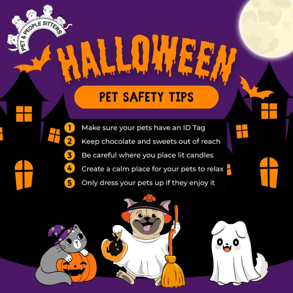 Pet Safety Tips for Halloween: How to Keep Your Furry Friends Happy and Safe