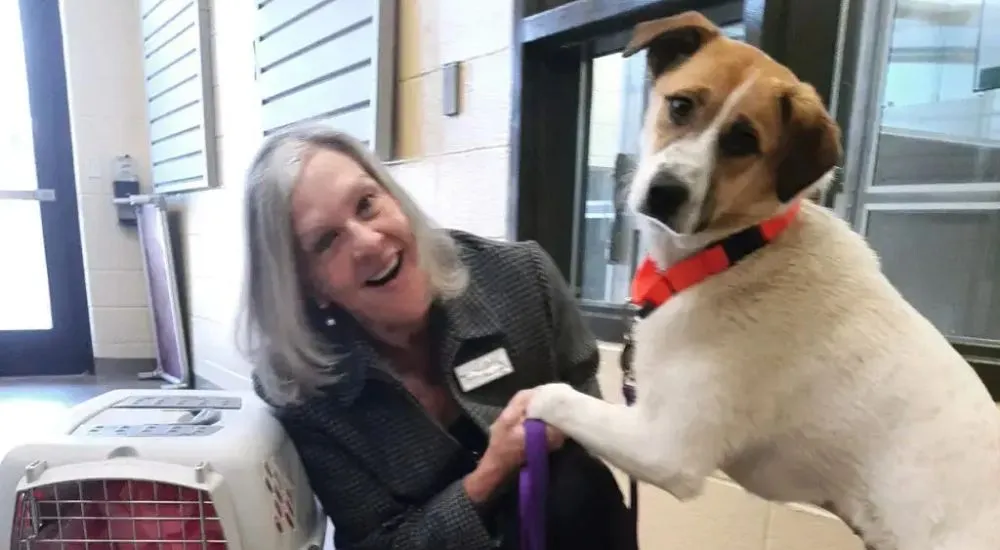 National Adopt