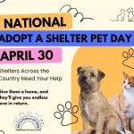 Adopt a Shelter Pet Day is April 30 – Shelters Across the Country Need Your Help