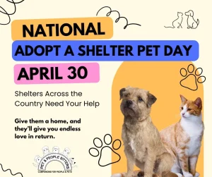 ADPOT-A-SHELTER-PET-DAY-FACEBOOK-POST