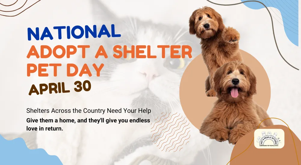 National Adopt pet shelter