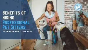 Professional pet sitter caring for dogs at home in Denver
