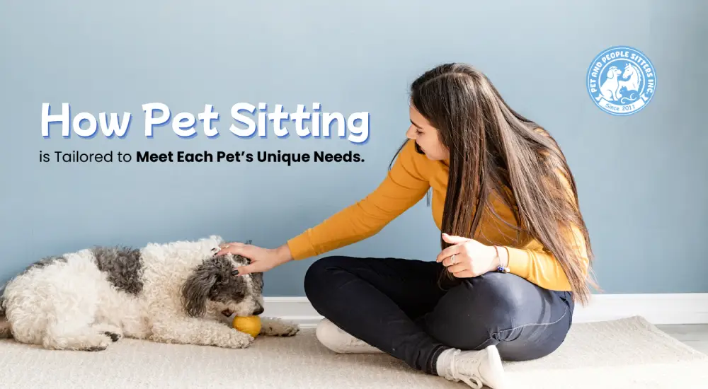 How Pet Sitting is Tailored to Meet Each Pet’s Unique Needs