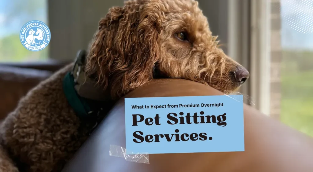 What to Expect from Premium Overnight Pet Sitting Services: The Complete Guide for Pet Owners