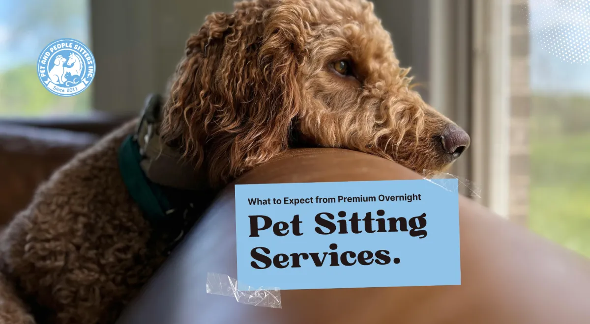 Premium Overnight Pet Sitting Services.