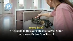 Cat Sitter in Denver playing with a tabby cat on a living room couch during an in-home pet sitting visit