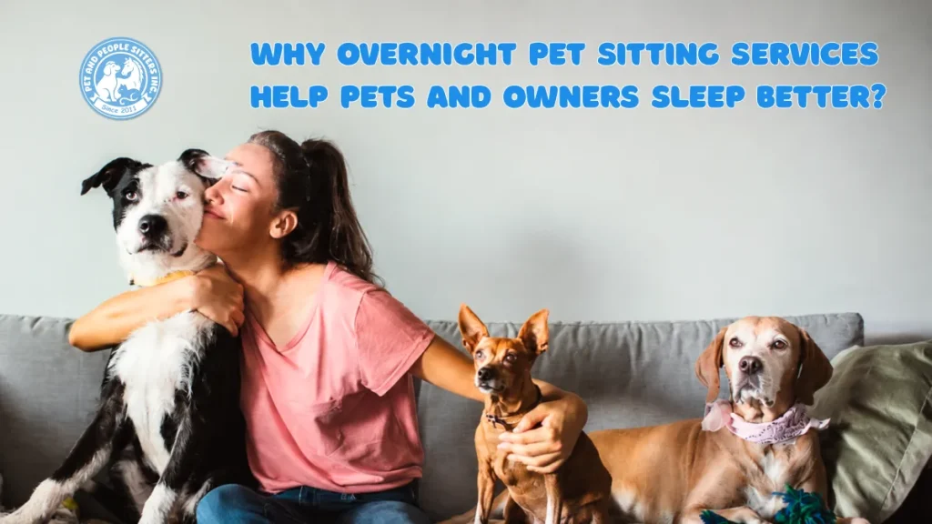 Why Overnight Pet Sitting Services Help Pets and Owners Sleep Better