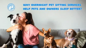 Trusted overnight pet sitting services and daily pet care services helping pets stay comfortable, safe, and cared for in their familiar home environment.