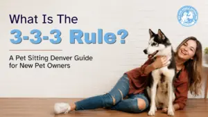 3-3-3 Rule guide for new pet owners