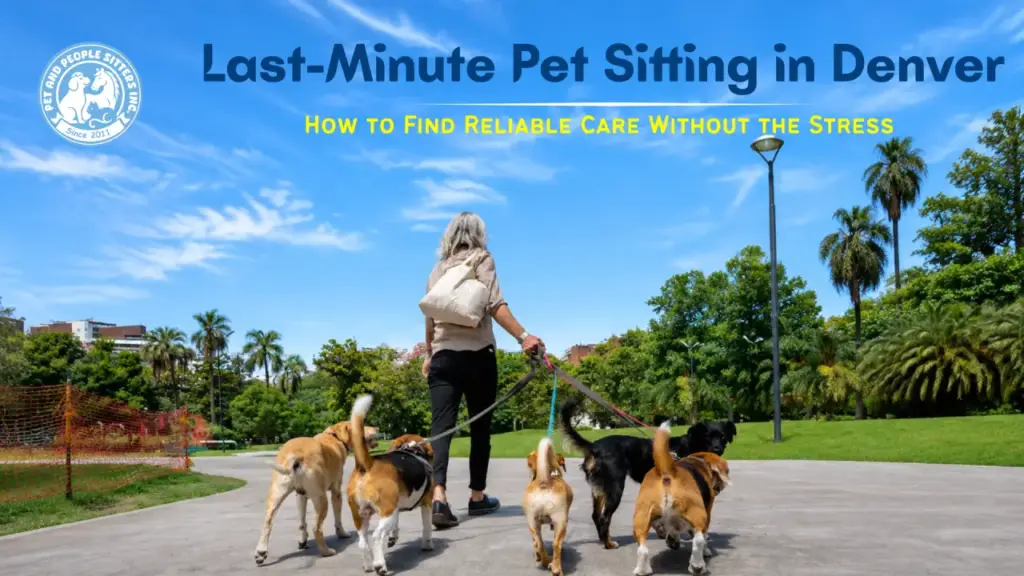 Last-Minute Pet Sitting in Denver: How to Find Reliable Care Without the Stress