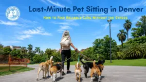 Last-minute pet sitting in Denver with reliable in-home pet care for dogs