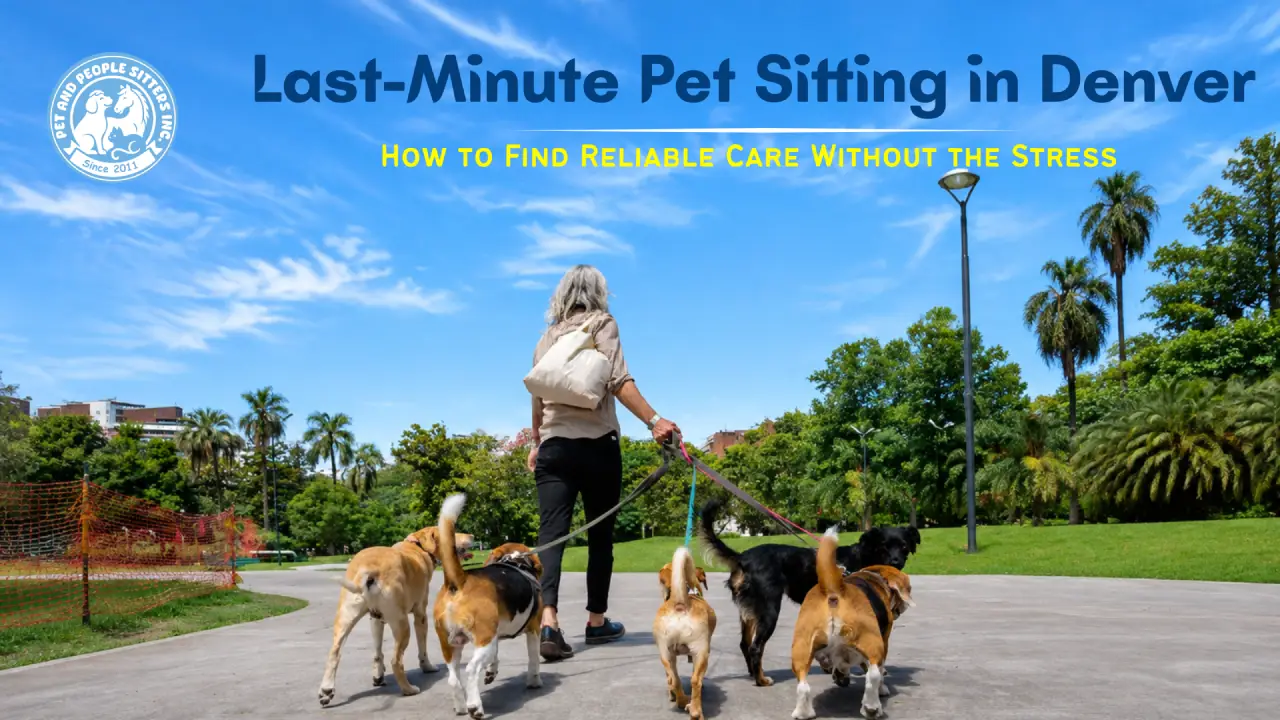 Last-minute pet sitting in Denver with reliable in-home pet care for dogs