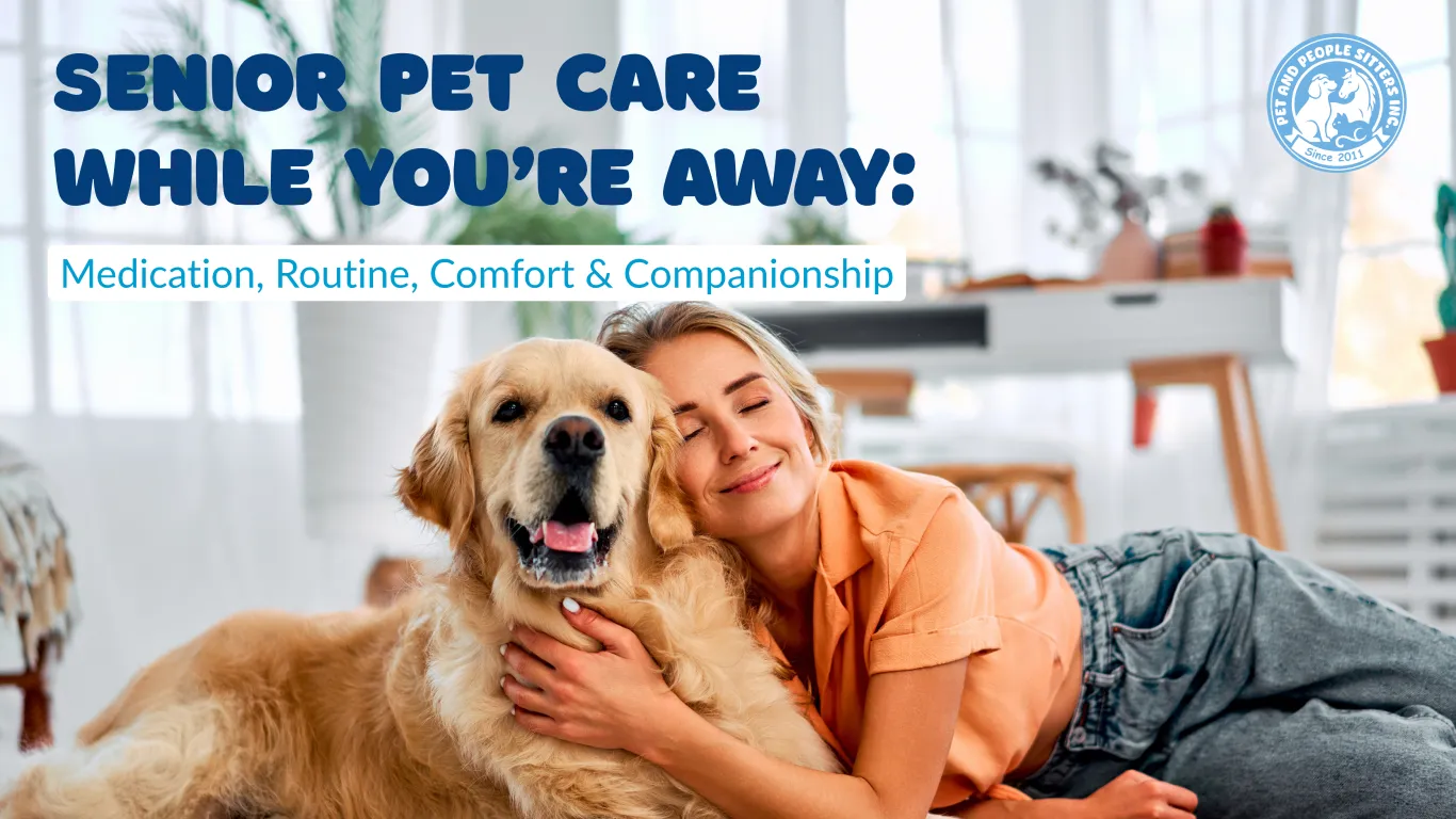 Senior pet care while you’re away, providing medication, routine, comfort, and companionship for an older dog.