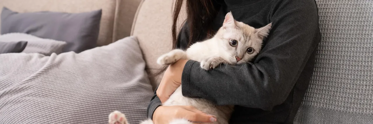 cat sitter trust