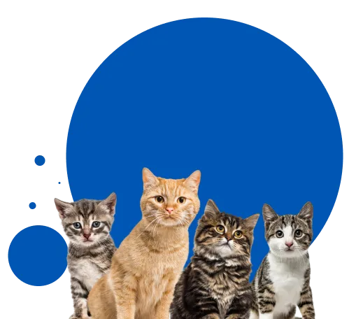 cta-banner