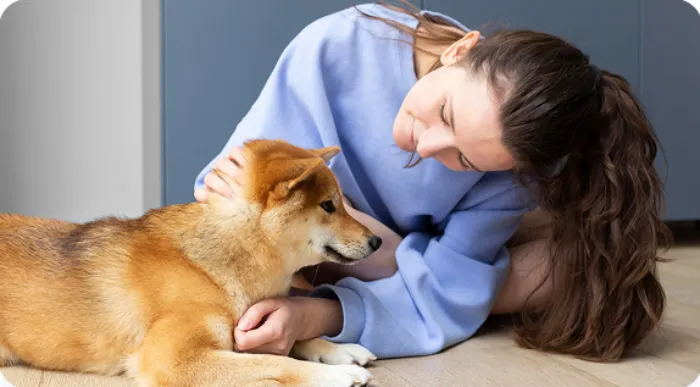 dog sitter denver