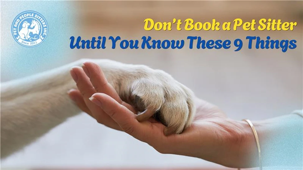 Don’t Book a Pet Sitter Until You Know These 9 Things