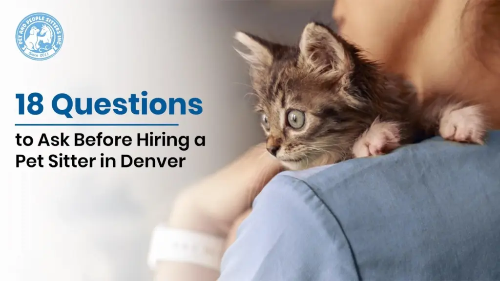 18 Questions to Ask Before Hiring a Pet Sitter in Denver