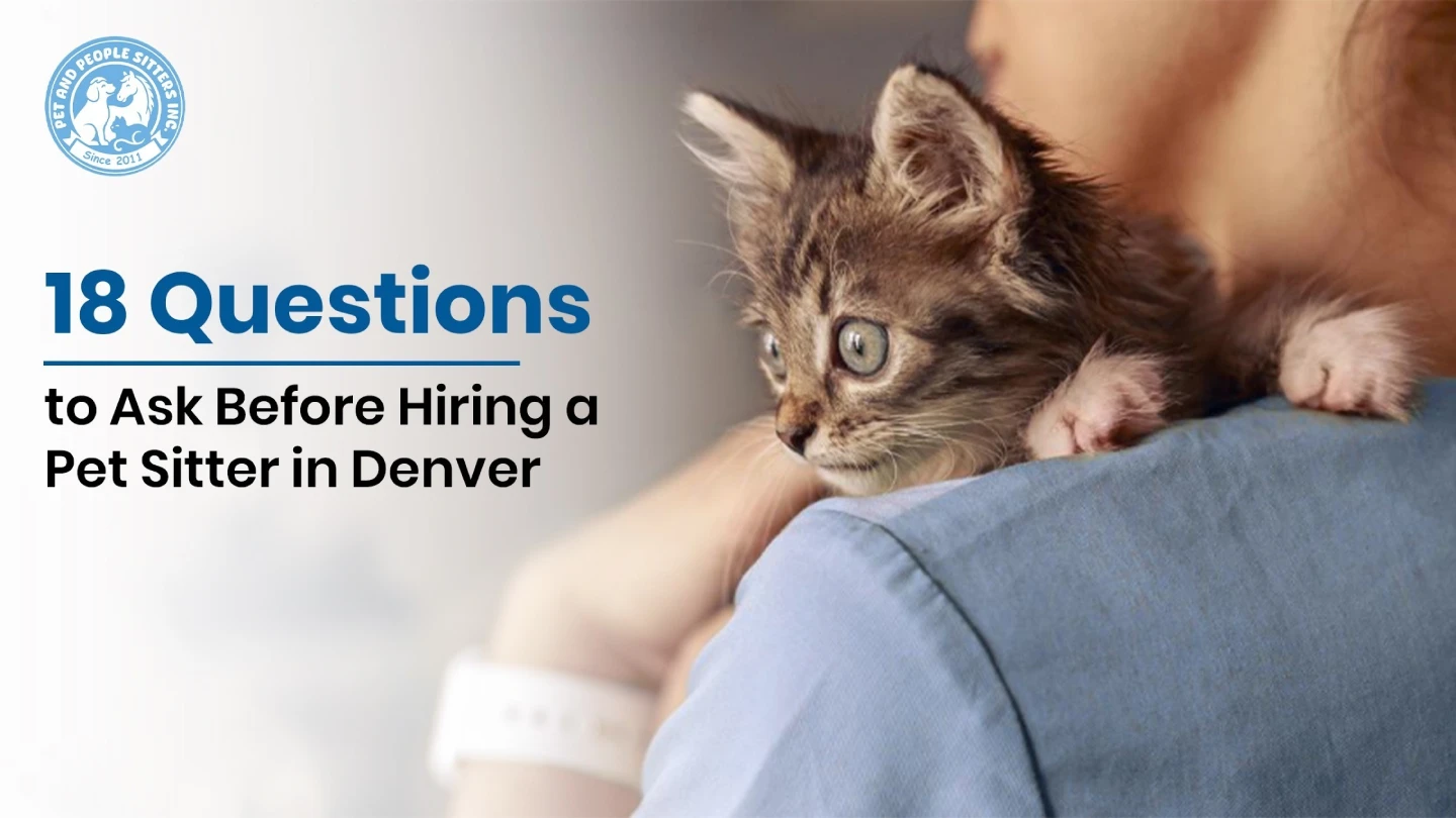 Pet sitter caring for a kitten
