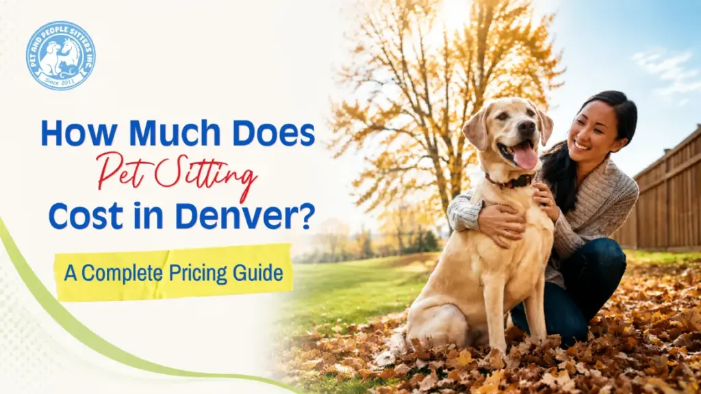 How Much Does Pet Sitting Cost in Denver? A Complete Pricing Guide