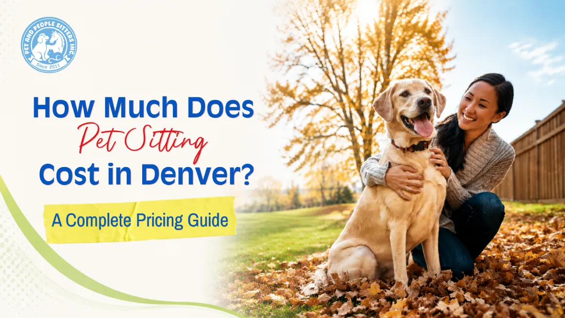 How Much Does Pet Sitting Cost in Denver? A Complete Pricing Guide featuring a pet sitter with a dog