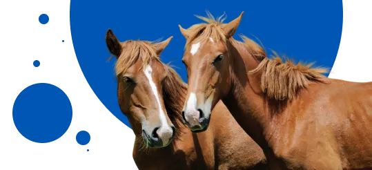 ranch management cta