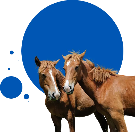 ranch management cta